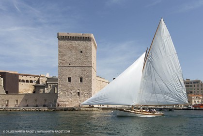 ALCYO014_1379.jpg