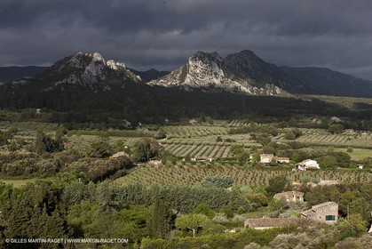 29 04 2012 - Eygalières (FRA, 13) - Chaîne des Alpilles vers Eygalières