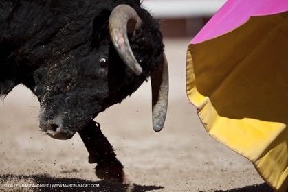 Lundi 05 04 2010 - Arles (FRA,13) - Feria 2010 -Corrida de rejon - Fermin Bohorquez - Pabloe Hemoso de Mendoza - Andy Cartagena - Toros Bohorquez