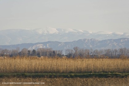 05 02 2008 - Arles (FRA, 13) - Paysages du Pays d'Arles