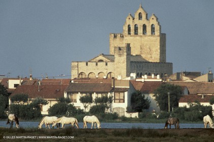 Camargue (FRA,13) - Les saintes Maries de la mer