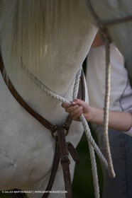 Chev0508_0108.jpg
