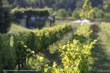 20 06 2018, Ménerbes (FRA,84), La Bastide de Marie