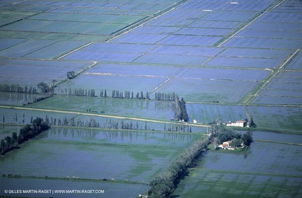 Le Rhône, rizières en Camargue