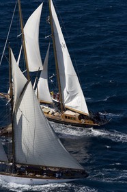 Altaïr - 03 10 2006 - Saint Tropez (Fr) - Voiles de Saint Tropez 2006 - Altaïr