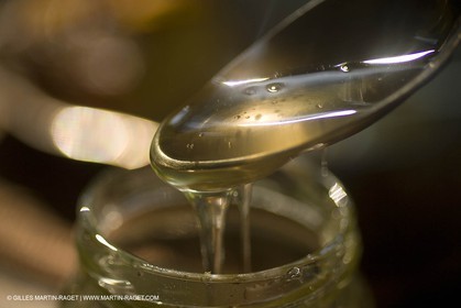 13 08 2007 - Saint Etienne du Grès (FRA - 13) - Miel et abeilles