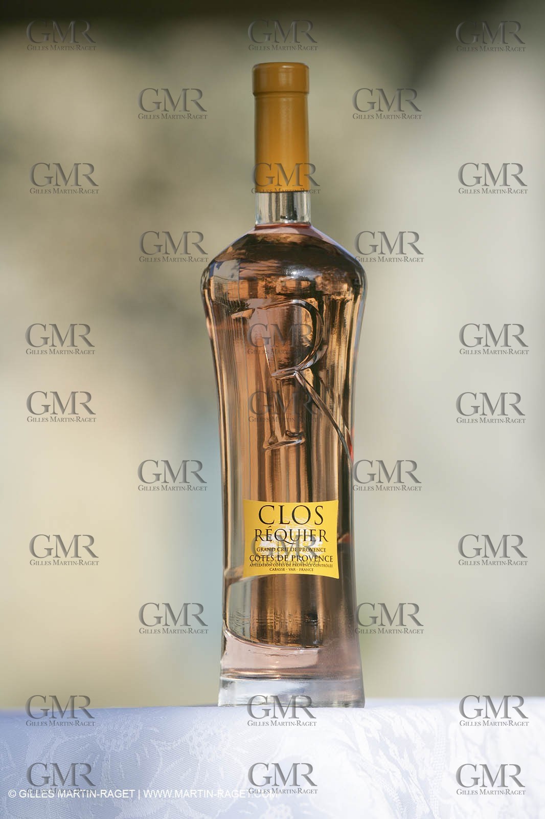 28 02 2008 - Cabasse (FRA, 83) - Domaine du Lac vines