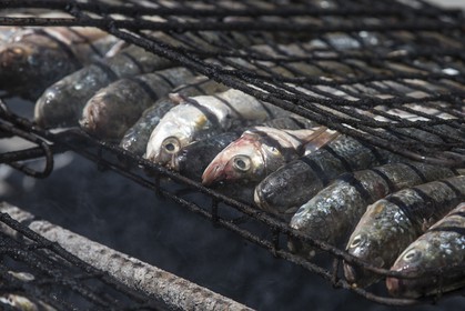 10 11 2014, Capetown (ZAF), Volvo Ocean Race 2014-15, Team Alvimedica