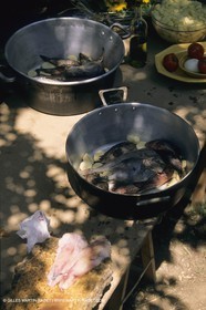France, Provence, Cooking, Bouillabaisse