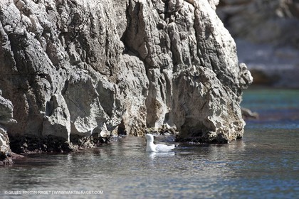 26 03 2009 - Marseille (FRA, 13) - Les Calanques - Sugiton