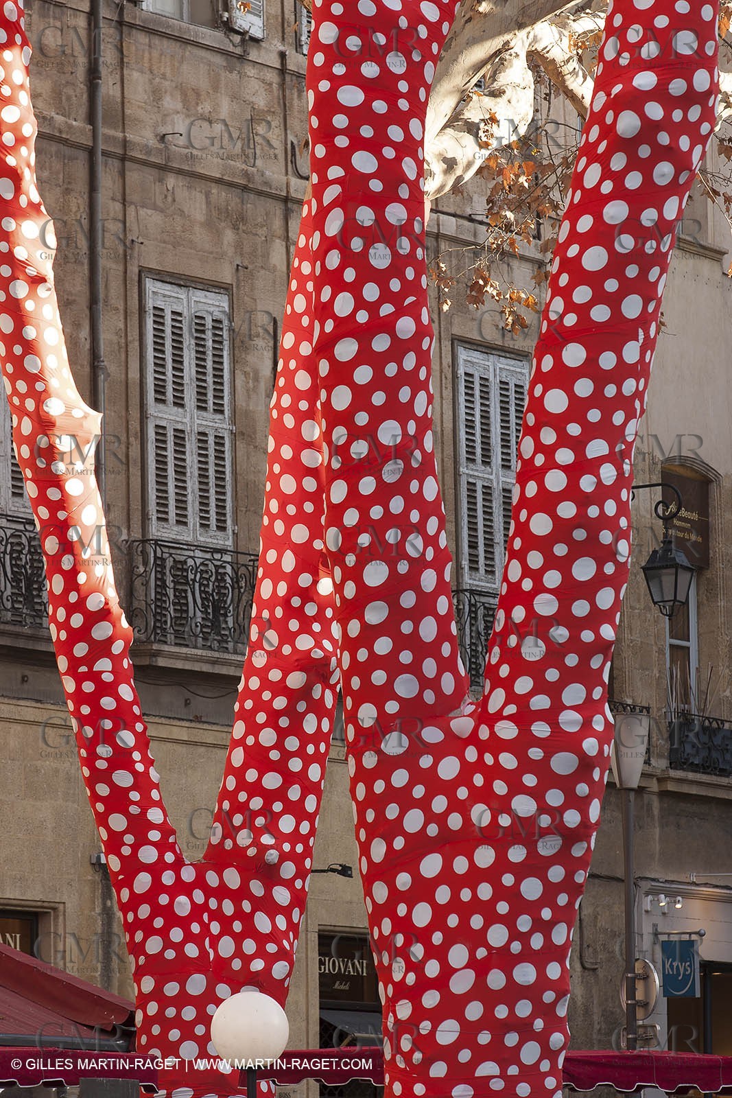 12 01 2013 - Aix en Provence (FRA,13) - Marseille Provence 2013,European  Capitale of Culture, L'Art à l'endroit (art in the place), Huang Yong Ping Piece