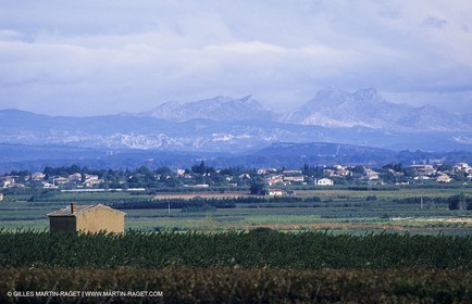 Paysages de Nîmes Métropole (FRA,30) - Les costières