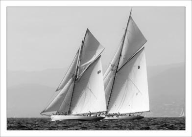 Monnbeam of Fife et Moonbeam IV