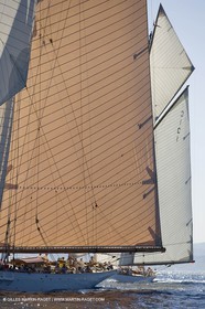 03 10 2007 - Saint Tropez (FRA, 83) Voiles de Saint Tropez 2007 - Lulworth