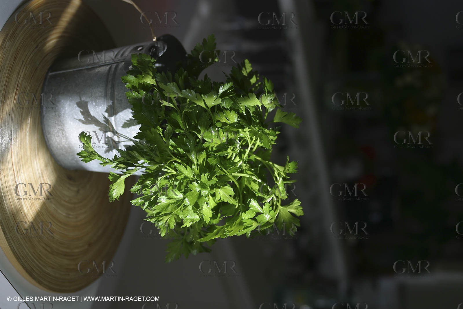 Cooking herbes from Provence - Garlic and Parsley