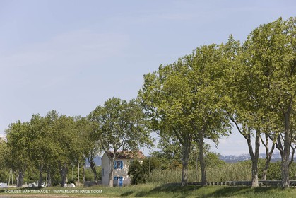01 05 2008 - Arles (FRA,13) - Election de la Reine d'Arles