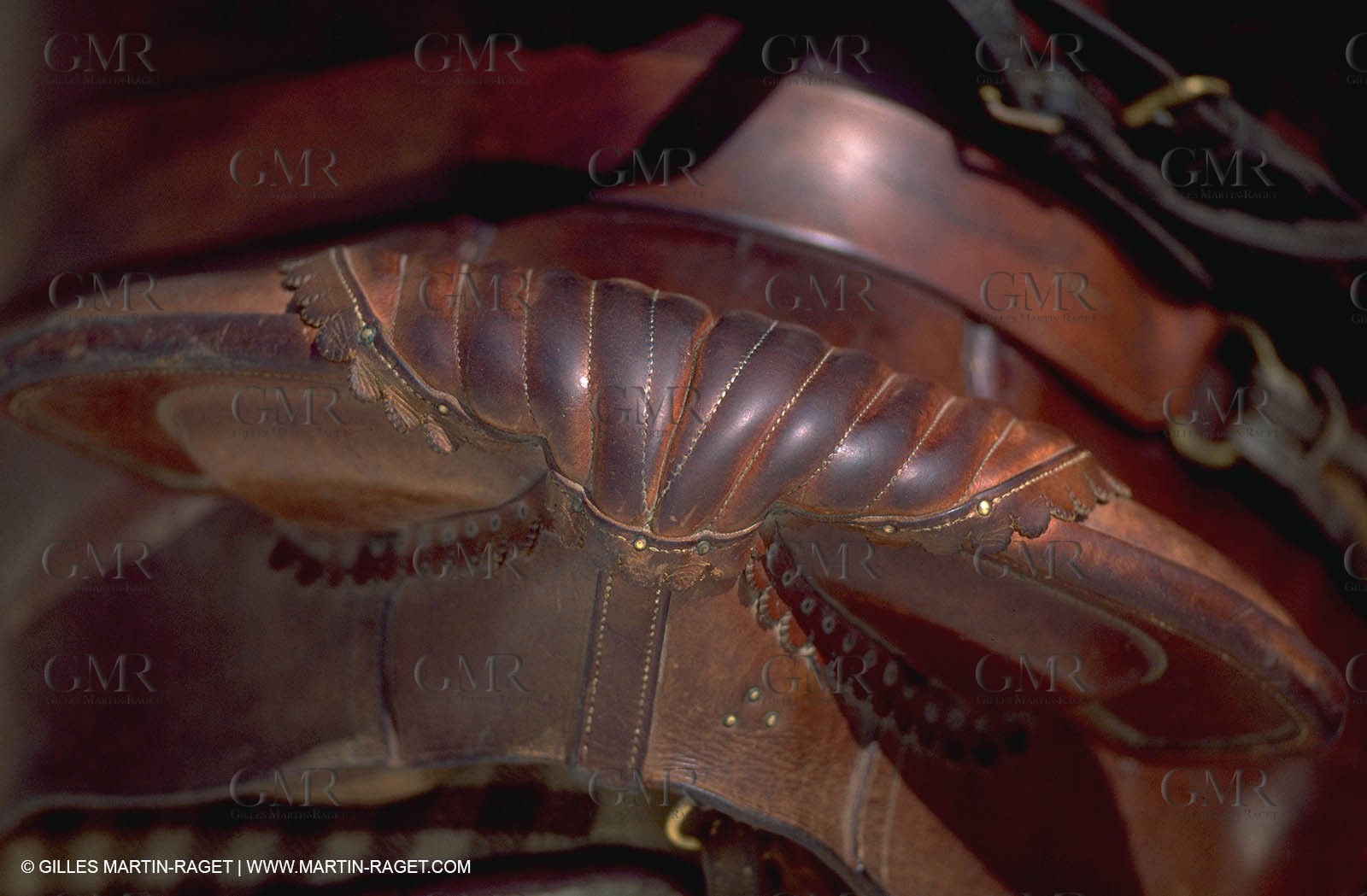 Arles - Camargue gardians (cow boys) at work