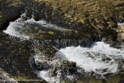 15 06 2012 - L'Huveaune à Auriol (FRA,13)