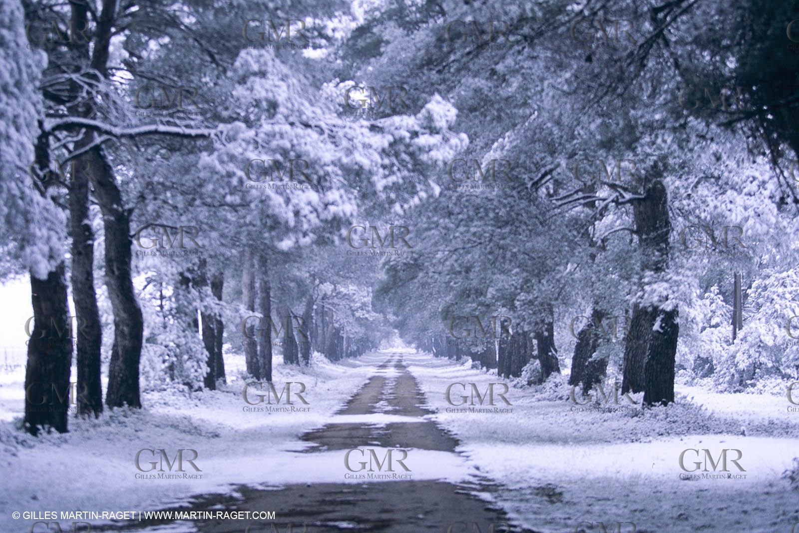 Provence under snow - Alpilles - Chapelle Saint Sixte - Eygalières