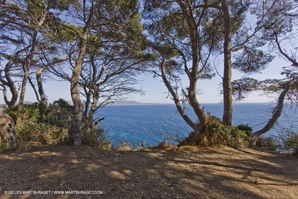 26 06 09 - Sanary sur mer (FRA,83)