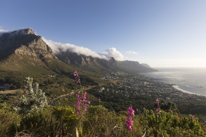 10 11 2014, Capetown (ZAF), Volvo Ocean Race 2014-15, Team Alvimedica