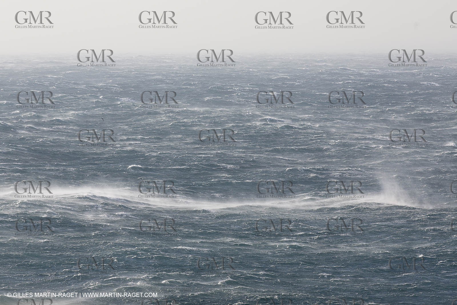 14 03 13 - Marseille (FRA) - Mistral Gale