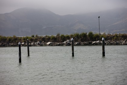 07 06 2011 - San Francisco (USA,CA) - 34th America's Cup - Marina Green