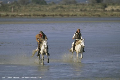 France, Provence, Gardians de Camargue