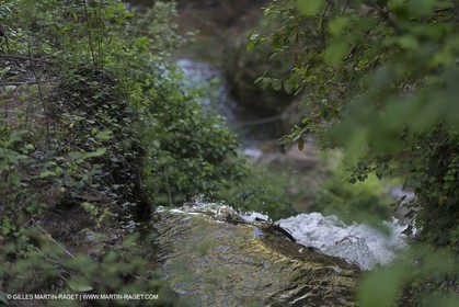 Domaine de la Baume - Tourtour (FRA,83) - 15 05 2014
