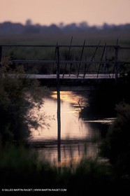 Roubine en Camargue