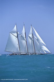 Antibes (FRA,06) - Voiles d'Antibes, Shenandoah