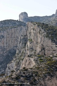 06 05 2009 - Marseille (FRA, 13) - Les Calanques - On Castelviel plateau - Calanque de Loule