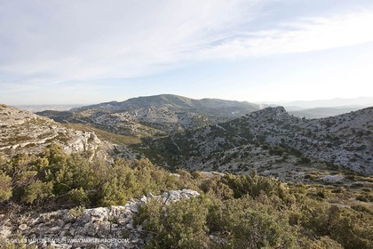 30 04 2009 - Marseille (FRA, 13) - Les Calanques - Vallon du Cancel