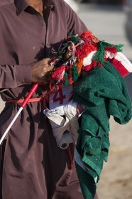 20 11 2010 - Dubai (UAE) - Camel races