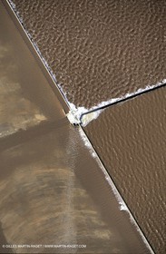Ponds from Camargue