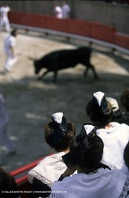 bull games in Clarensac (Gard)