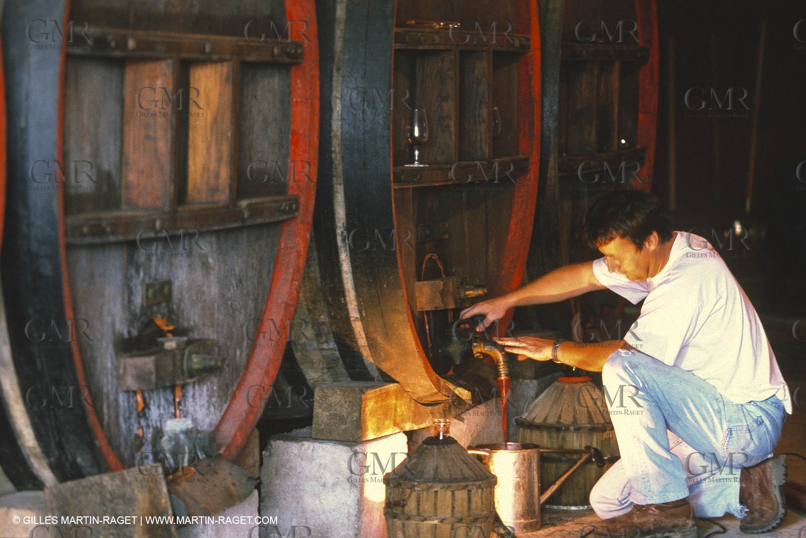 Provence, Harvest time