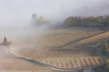 12 04 2016, Parc National du Luberon (FRA, 84)