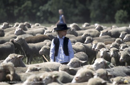 Saint Rémy de Provence (FRA,13) - Sheep stocks migration Fest