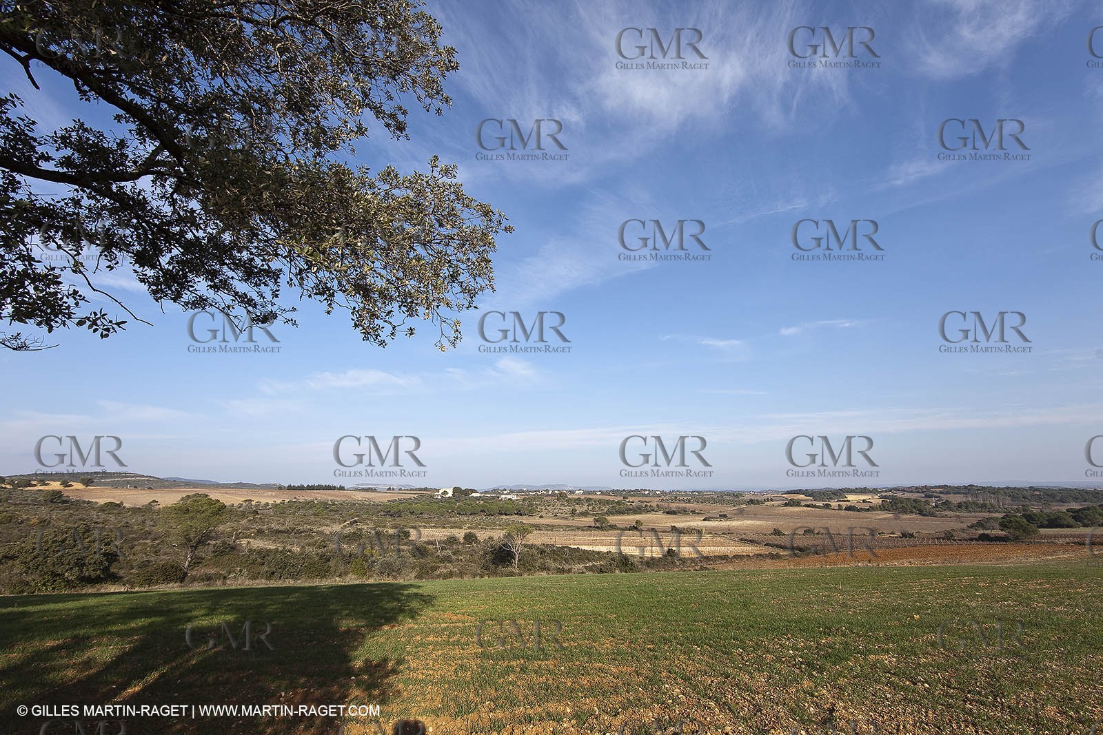 Saint Drézéry (FRA, 34), Domaine de Puech Haut