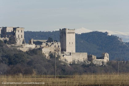 05 02 2008 - Arles (FRA, 13) - Paysages du Pays d'Arles