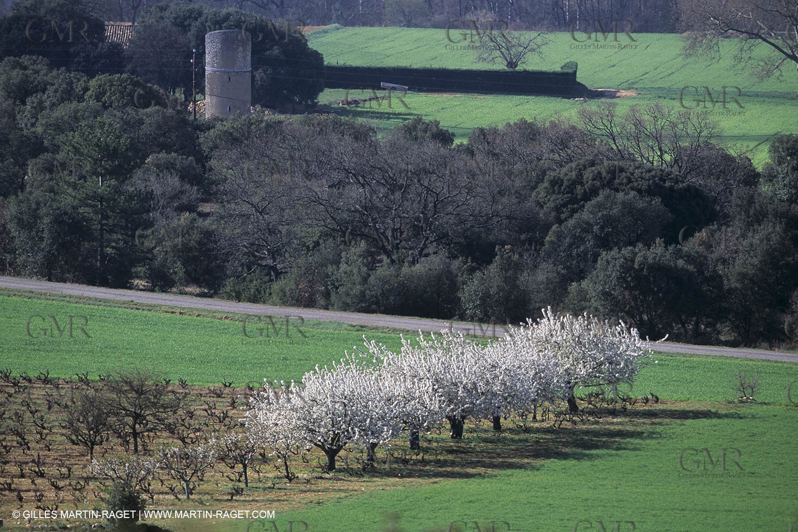Luberon in winter near Saint Satrunin les Apt (FRA,84)