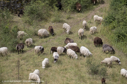 10 06 2018, Sivergues (FRA,84)