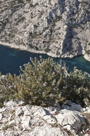 11 03 2009 - Marseille (FRA, 13) - les Calanques - Calanque de Morgiou vue depuis le bélvédère du Crêt St Michel