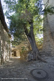 31 08 2007 - Pays de Forcalquier - Val de Durance (FRA, 04) - Lurs