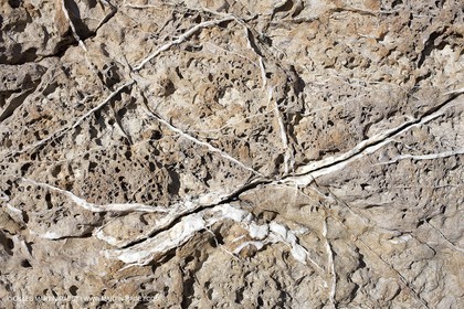 27 03 2009 - Marseille (FRA, 13) - Les Calanques - Morgiou