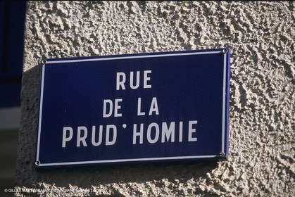 France, Provence, Pêche, barques, pointus, pêheurs, poissons