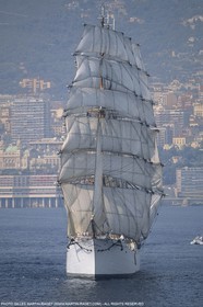 Sailing, Tall ships