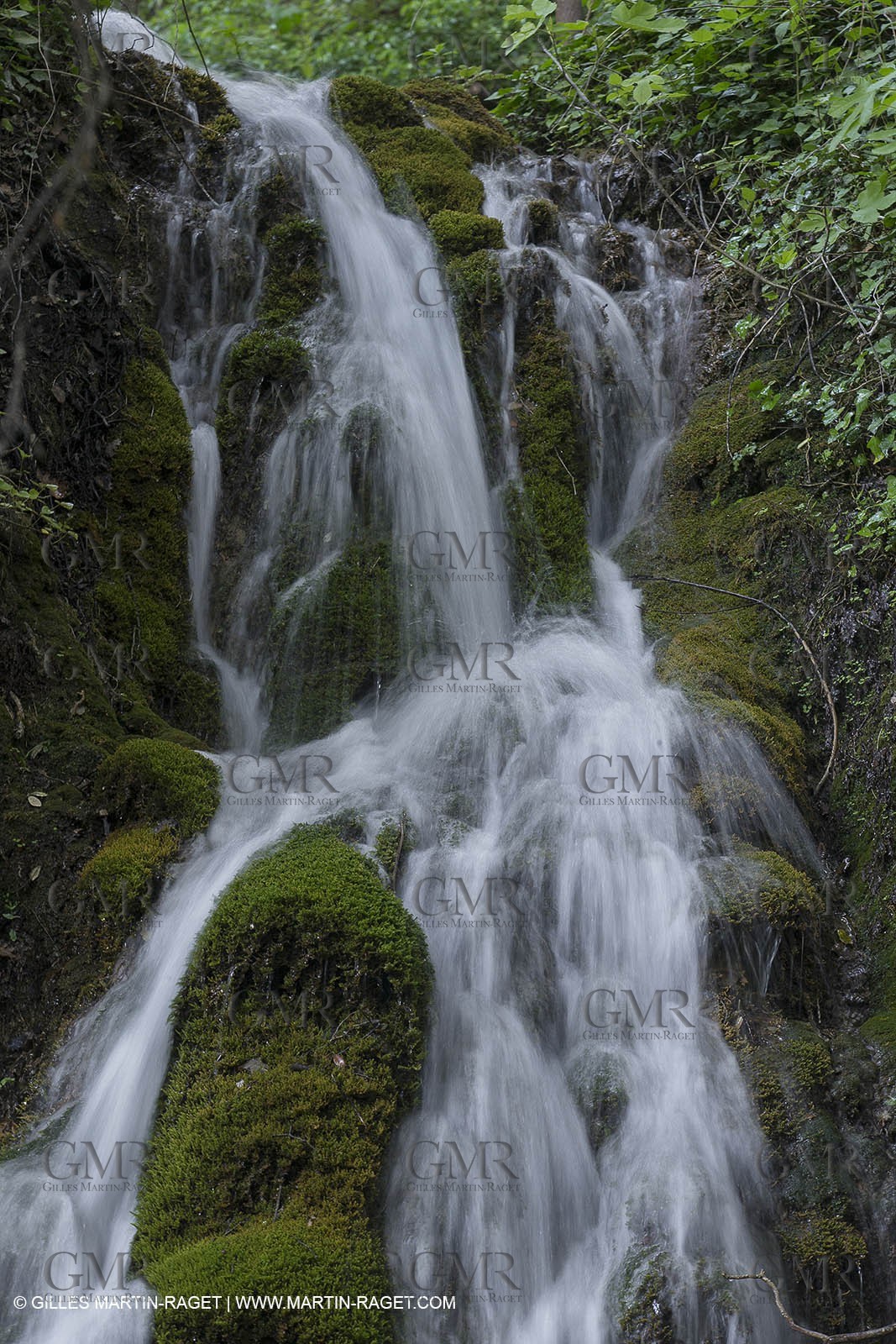 Domaine de la Baume - Tourtour (FRA,83) - 15 05 2014