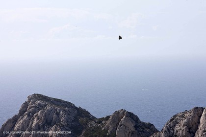16 04 2009 - Marseille (FRA, 13) - Les Calanques - Sparrowhawk at Sormiou